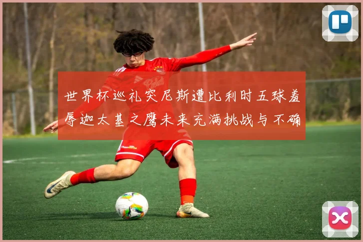 世界杯巡礼突尼斯遭比利时五球羞辱迦太基之鹰未来充满挑战与不确定性