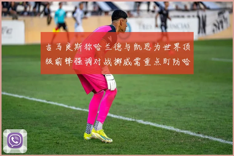 吉马良斯称哈兰德与凯恩为世界顶级前锋强调对战挪威需重点盯防哈兰德