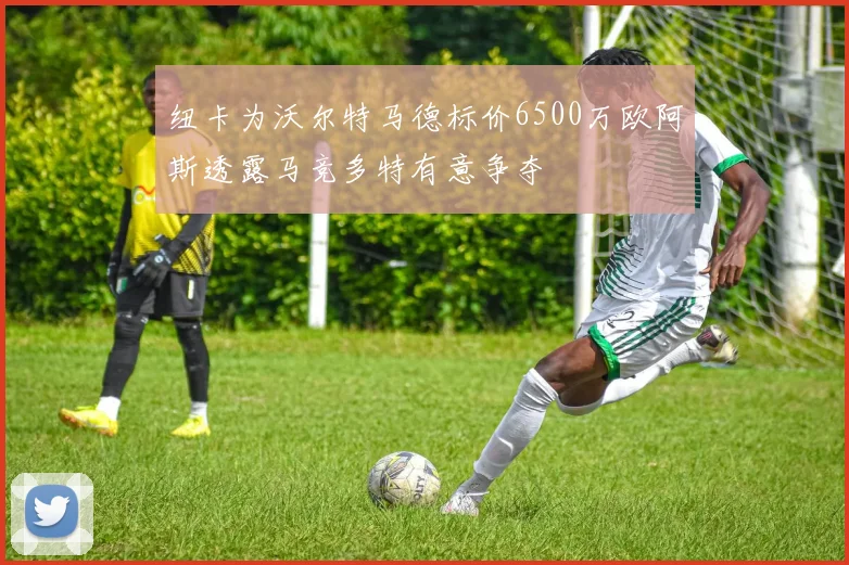 纽卡为沃尔特马德标价6500万欧阿斯透露马竞多特有意争夺